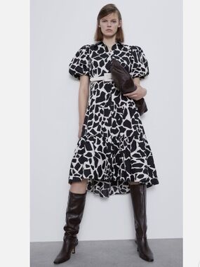 Zara Animal Print Dress